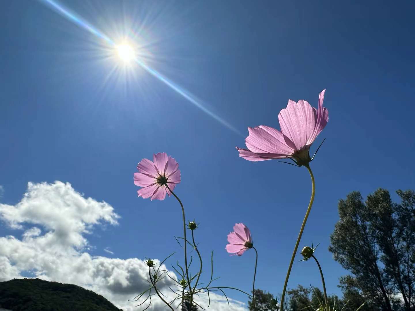 (二百四十八) 為什麼要「留芳百世」？