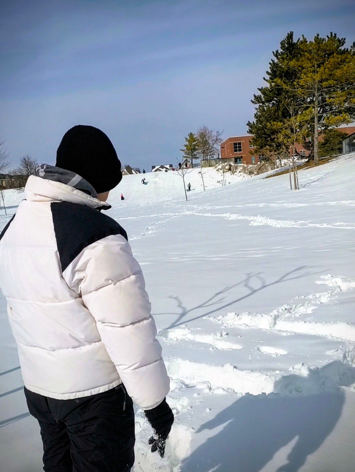 (三四六) 坐穩「飛馬」、清醒前行！