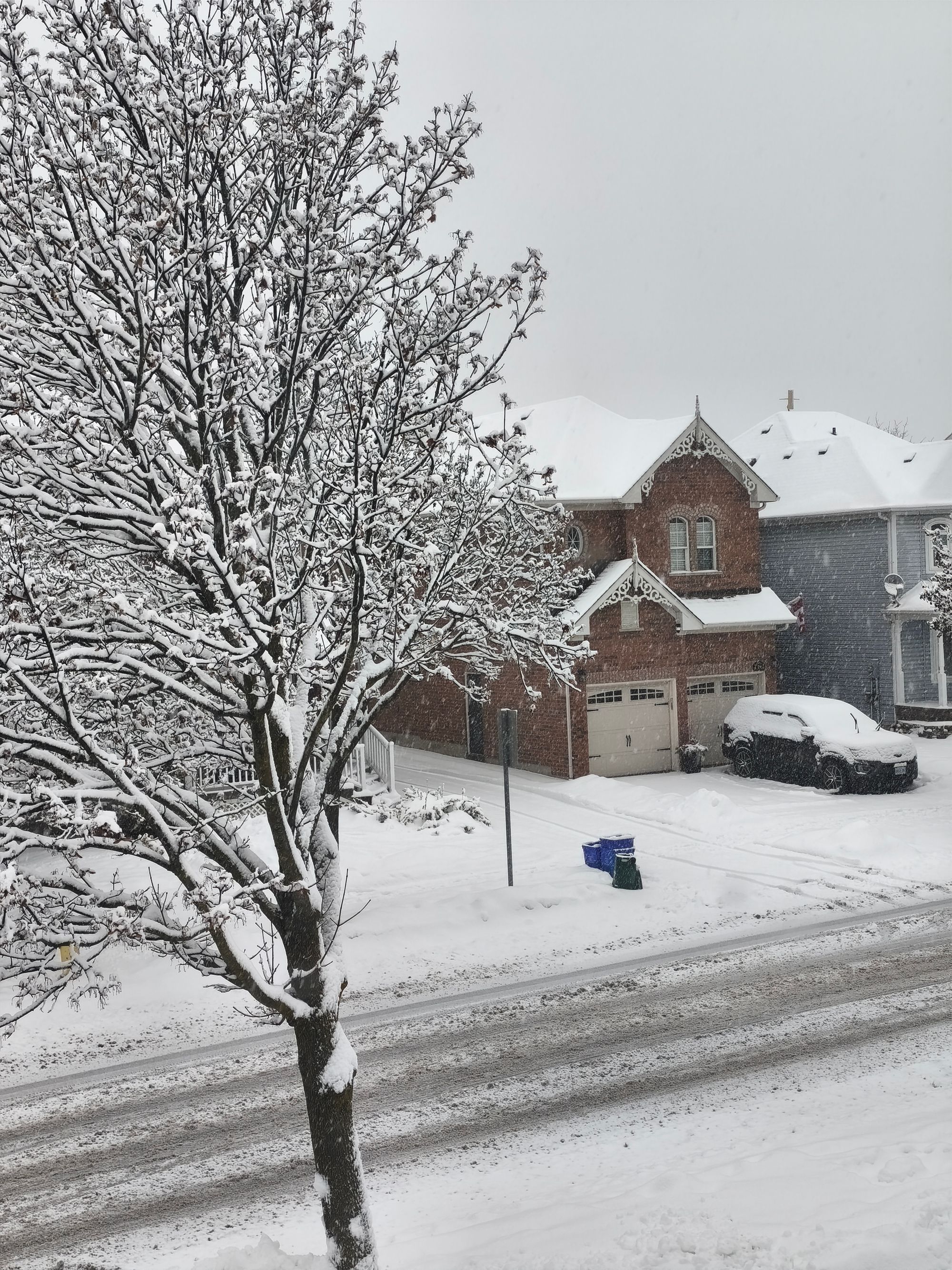 (三百五十) 生病的「真相」