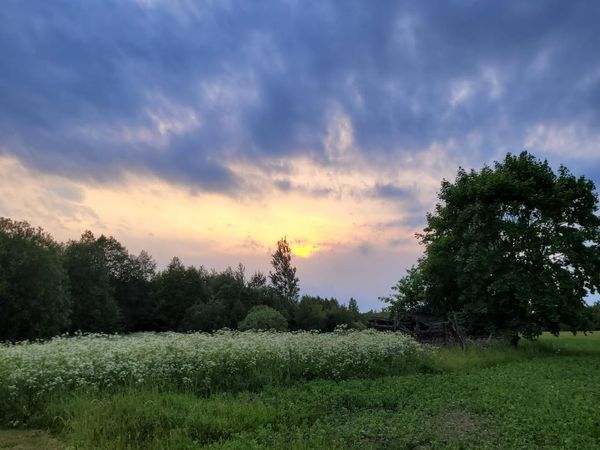 (一百四十七) 「重症」何解較難自癒？