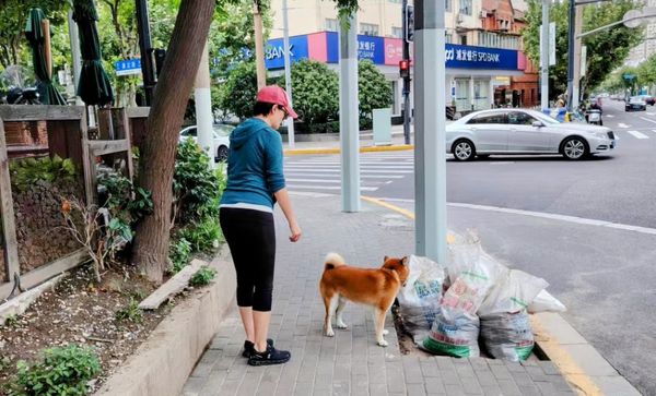 (二百三十六) 「賤賤」，教懂我的事......