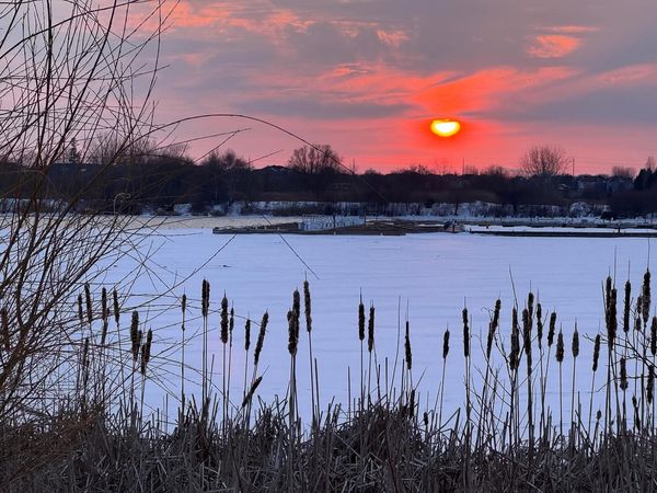 (三四八) 逆「思」而行