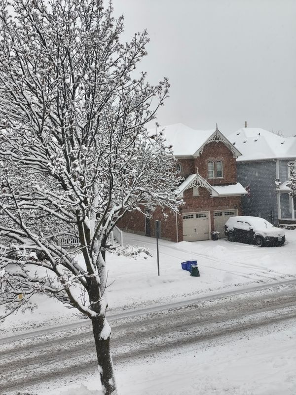 (三百五十) 生病的「真相」