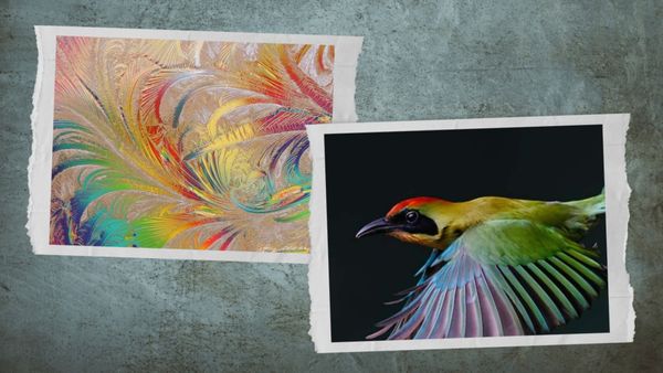 (三百五十四) 冰花飄至墨西哥(一)